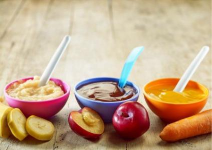 Pureed Foods